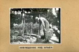 Биологический музей имени К. А. Тимирязева — фото 4