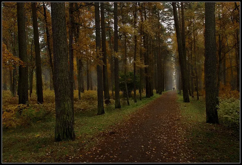 Верхний парк (Сестрорецк)