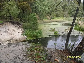 Воронежский заповедник