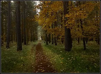 Нижний парк (Сестрорецк)
