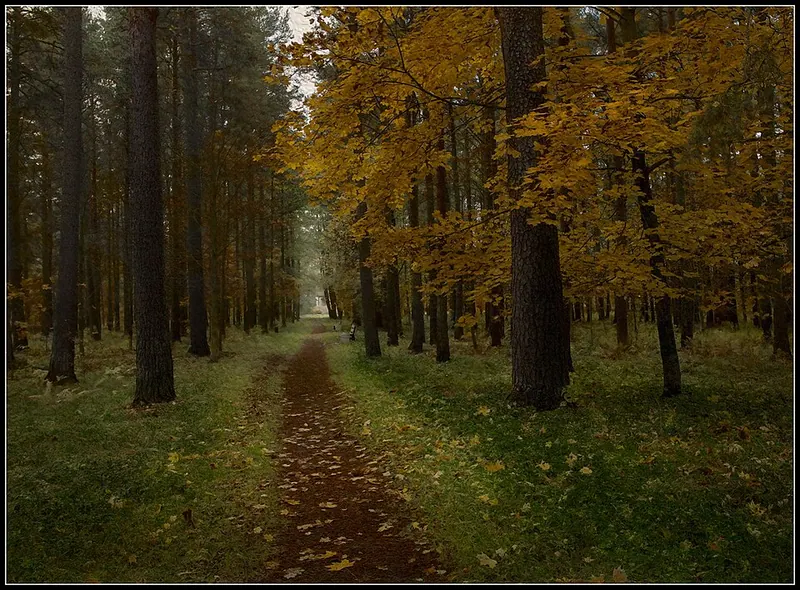 Нижний парк (Сестрорецк)