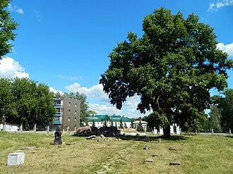 Троицкое кладбище (Елабуга) — фото 2