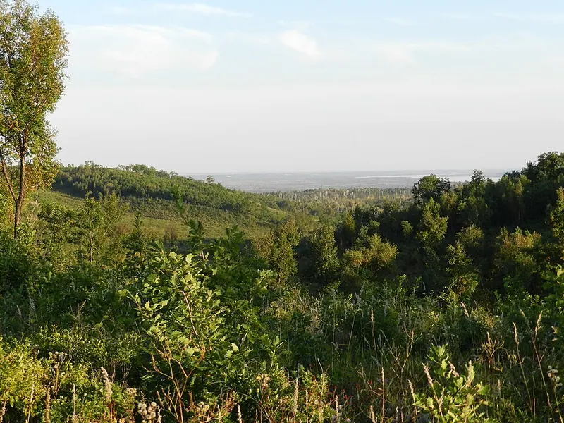 Благовещенский заказник (Амурская область)