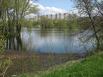 Смирновский пруд (Арзамас)