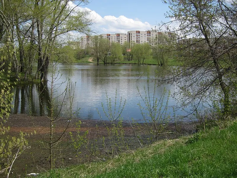 Смирновский пруд (Арзамас)