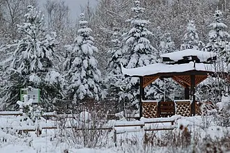 Мемориальный ботанический сад Г. А. Демидова — фото 4