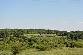 Злобовский лес