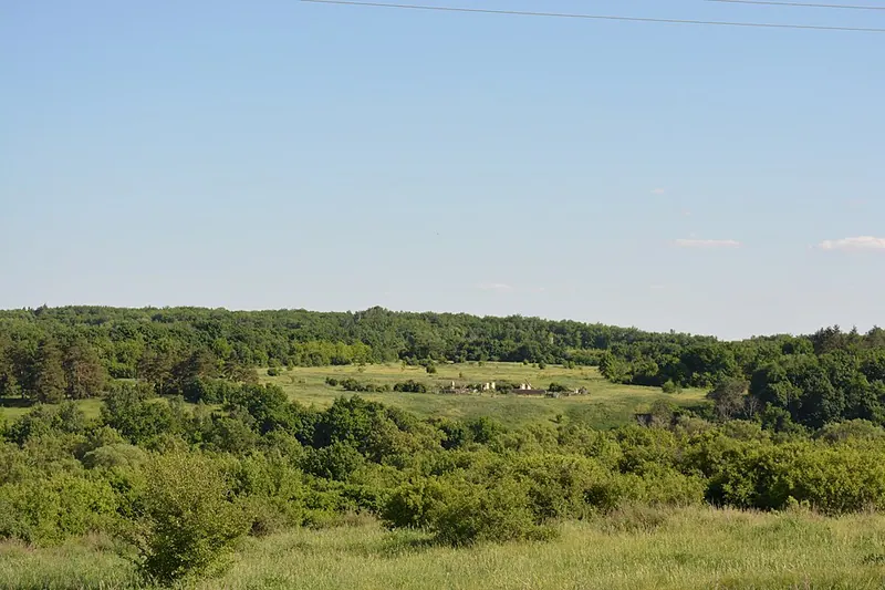 Злобовский лес