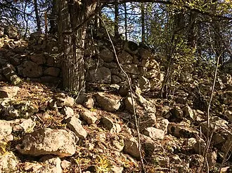 Сарджик