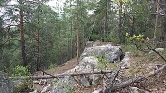 Скрипинские Кучуры — фото 2