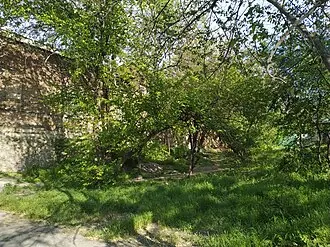 Темерницкое городище