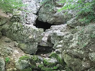 Алёшина вода