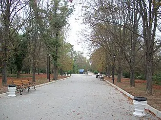Сакский курортный парк