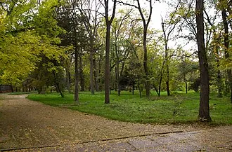 Сакский курортный парк — фото 4
