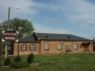 Каргинский кинематограф «Идеалъ»