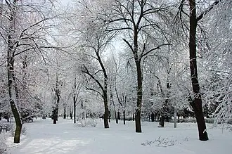 Комсомольский сквер (Ростов-на-Дону)