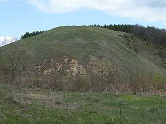 Воротынцево (городище)