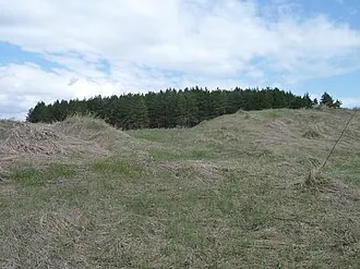 Воротынцево (городище) — фото 3