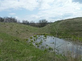 Воротынцево (городище) — фото 4