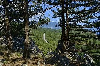 Каракули-Кая — фото 3