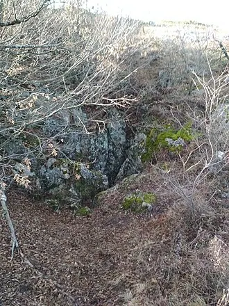 Ход конём (пещера) — фото 2