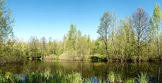 Петровский пруд (Приморский район)