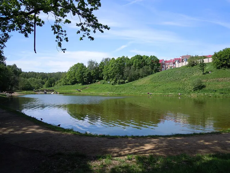 Новогорский лесопарк