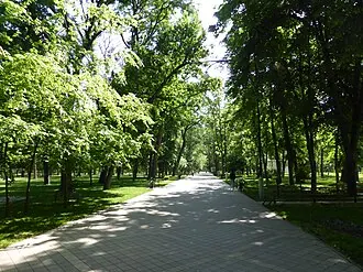 Чистяковская роща — фото 2