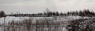 Туруновское кладбище