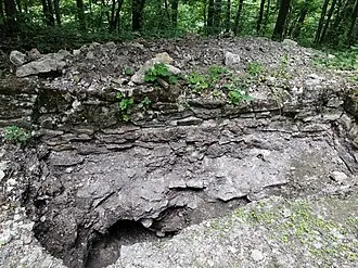 Опаков