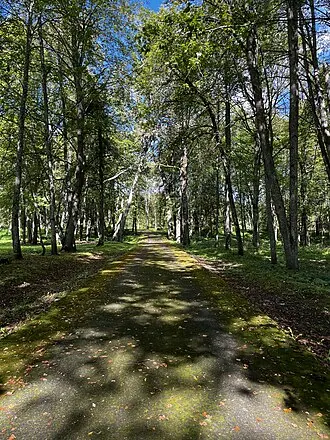 Усадьба Корвин-Круковских — фото 3