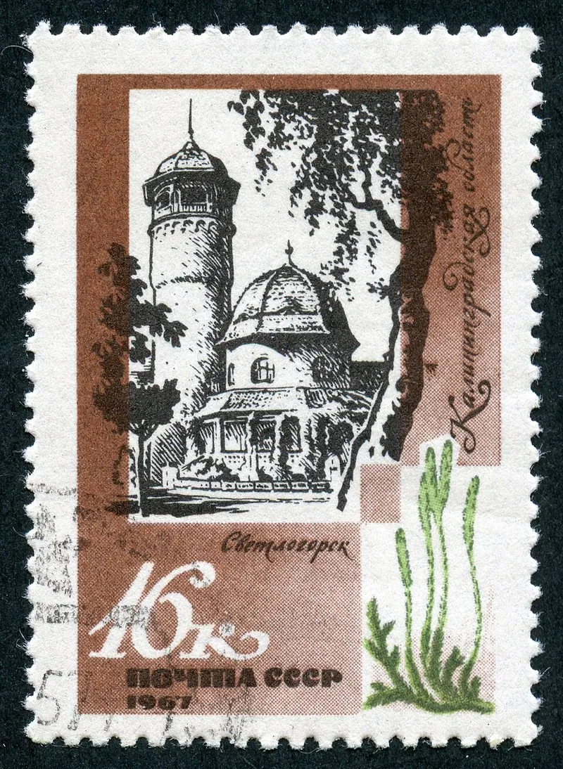 Водонапорная башня (Светлогорск)