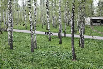 Парк Дзержинского (Новосибирск)