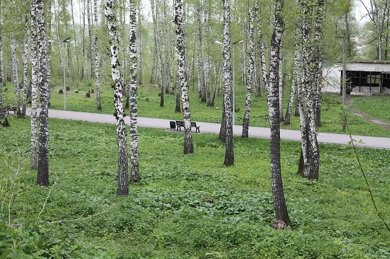 Парк Дзержинского (Новосибирск)