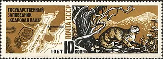 Кедровая Падь — фото 4