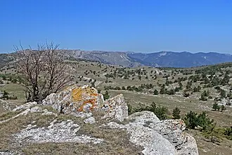 Ай-Петринская яйла (заказник)