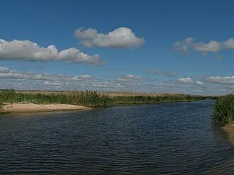 Пойма реки Берда
