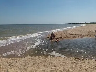 Пойма реки Берда — фото 2