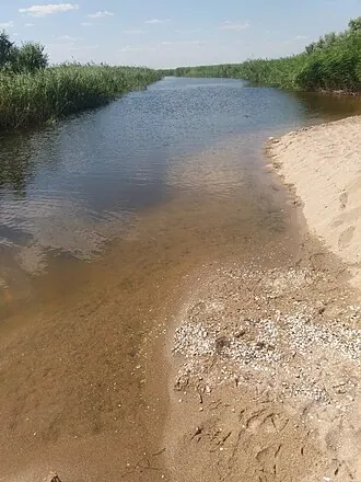 Пойма реки Берда — фото 3