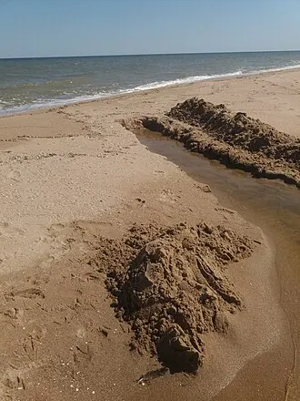 Пойма реки Берда — фото 4