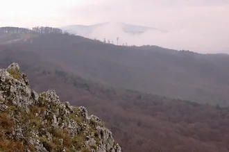 Зейский заповедник