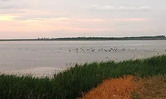 Верховье Утлюкского лимана