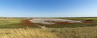 Устье реки Корсак