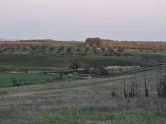 Артёмовские садово-дендрологические насаждения