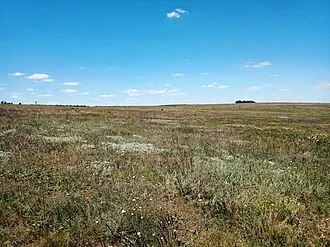 Балка Северная — фото 4