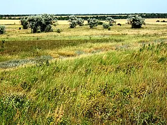 Балка Орлинская — фото 4