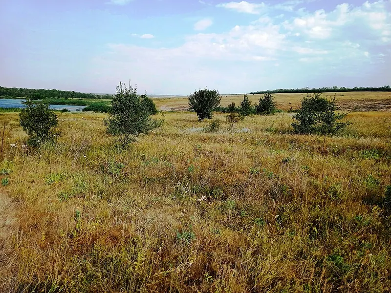Бесташ (заказник)