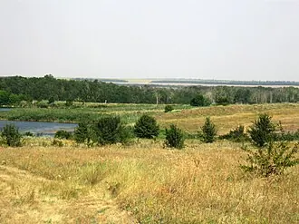Бесташ (заказник) — фото 3