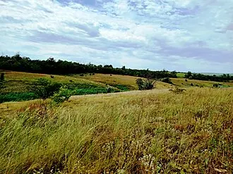 Знаменовская балка — фото 4