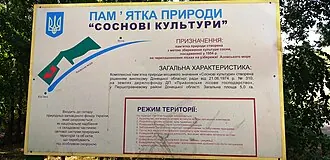 Сосновые культуры — фото 2